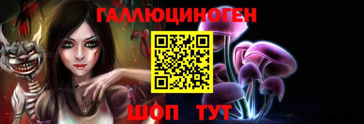 Псилоцибиновые грибы прущие грибы Александров